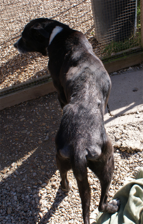 iris_22.02.2012_n._3.jpg