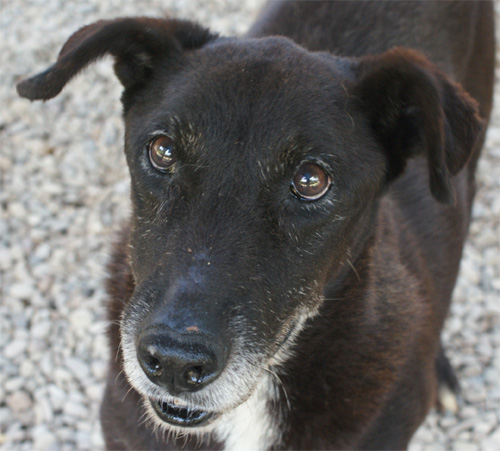 irma_27.06.2012_n._2.jpg