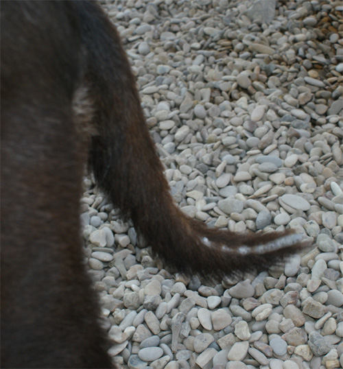 irma_27.06.2012_n._5.jpg