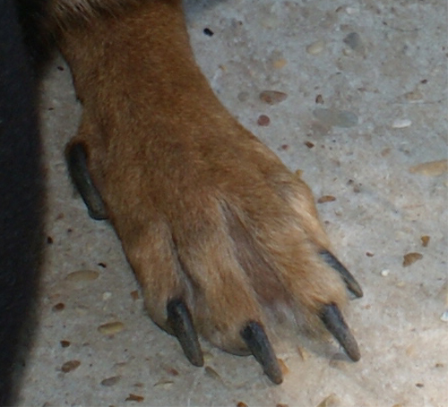 king_20.08.2012_n._4.jpg
