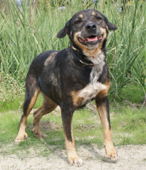 lesmi_intera1.jpg