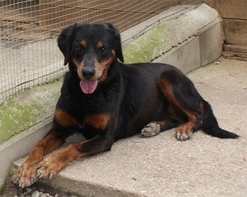 margot_8.06.2011_n._6.jpg