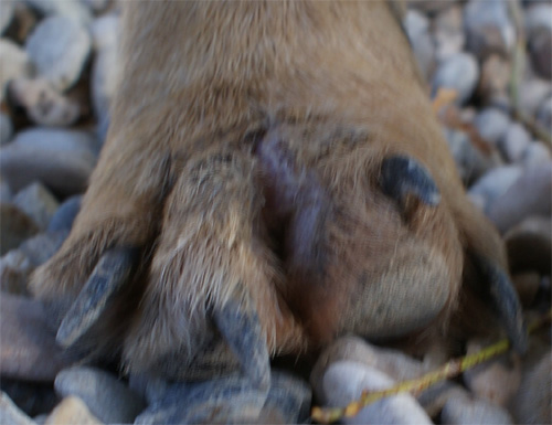 mariuccio_28.08.2012_n._4.jpg