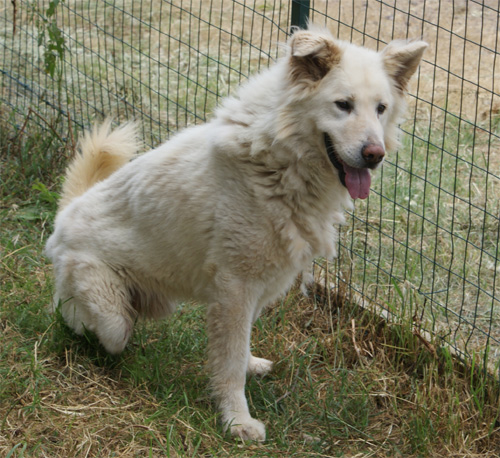 milo_1.06.2011_n._1.jpg