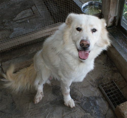 milo_18.10.2012_n._3.jpg