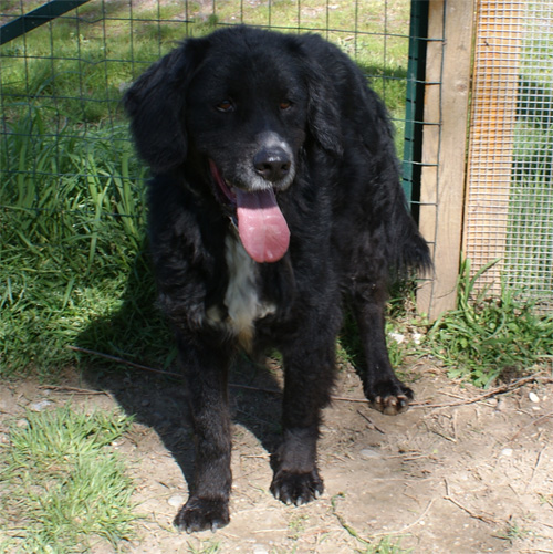 natan_28.3.2010_intero1.jpg