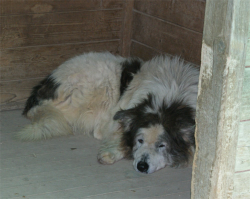 olmo_19.04.2012_n._1.jpg