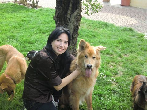 orso_7.4.2014_n._2.jpg