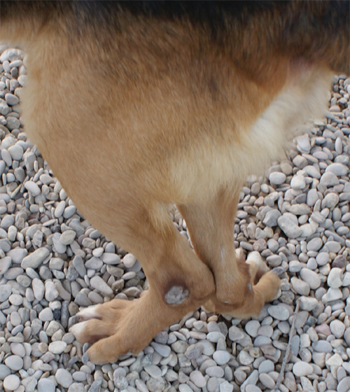 pan_20.03.2012_n._2.jpg