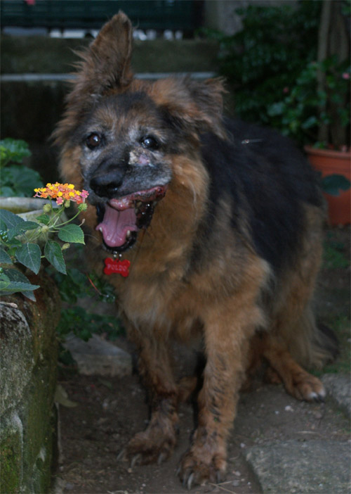 poldo_9.9.2014_n._2.jpg