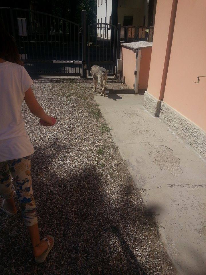 poldo_matr._1434-03_31.05.2014__n._4.jpg