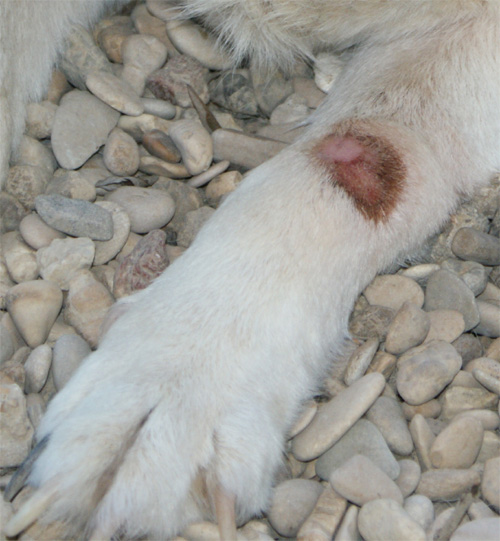 stella_16.07.2012_n._2.jpg