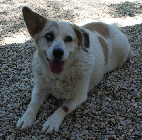 stella_16.07.2012_n._5.jpg