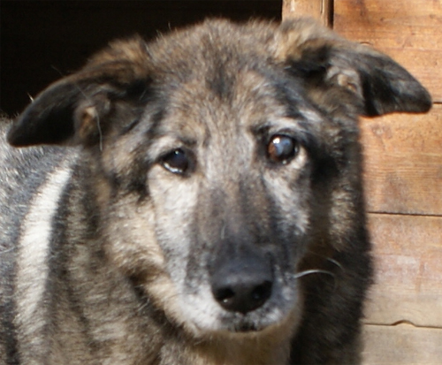 tobias_6.11.2012_n._3.jpg