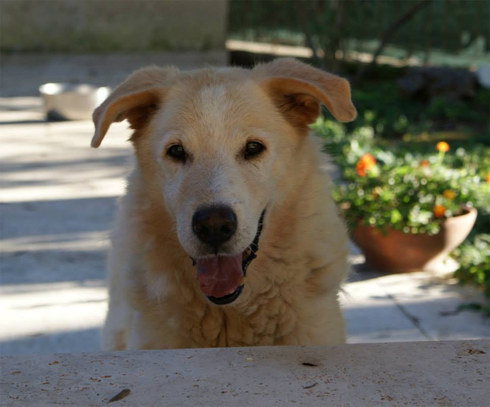ulisse_17-18.10.2014_n._y.jpg