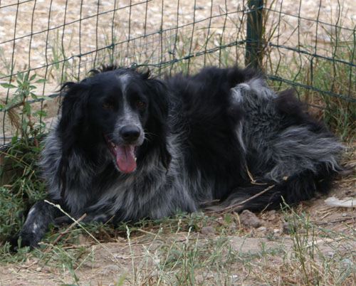 zen_24.7.2011_n._3.jpg