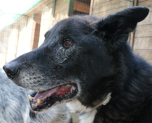 zorro_10.09.2012_n._3.jpg