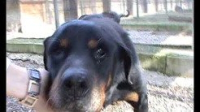 Aldo 8 febbraio 2012